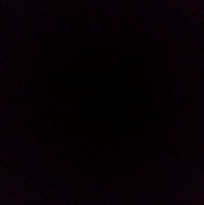 Meet your Posher, Tony